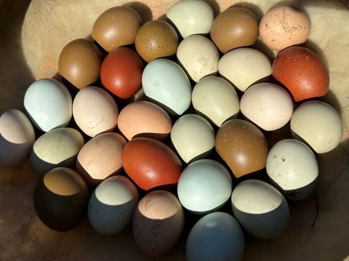 Bunte Eier