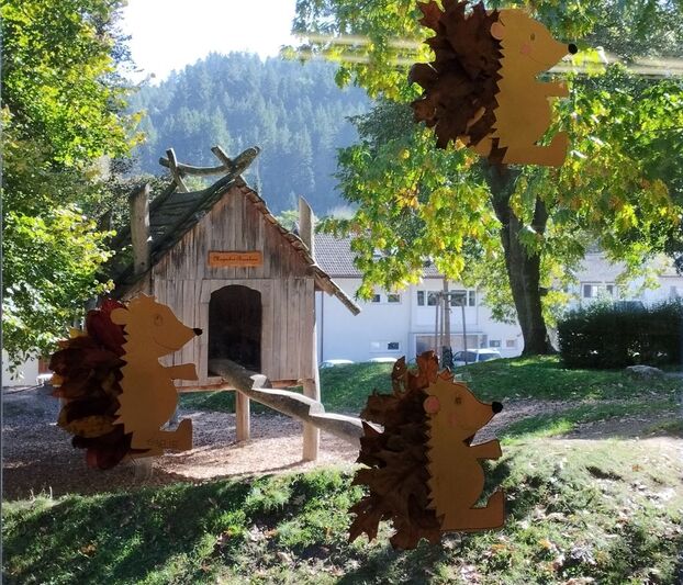 Igel