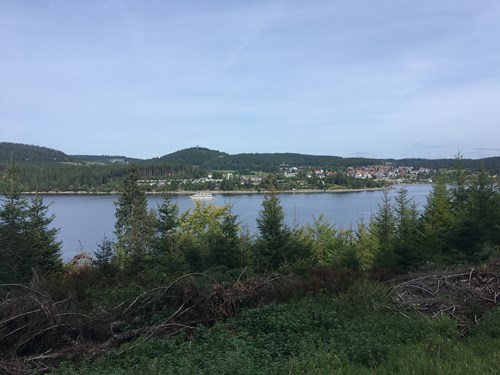 Schluchsee.jpg