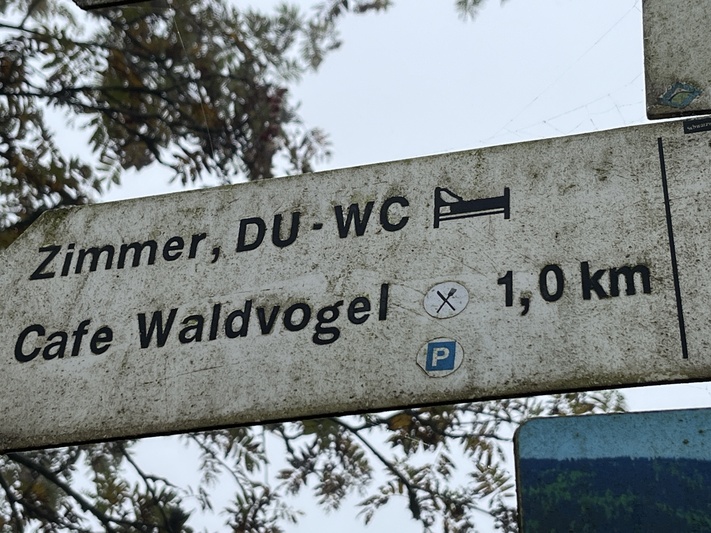 Waldvogel.JPG